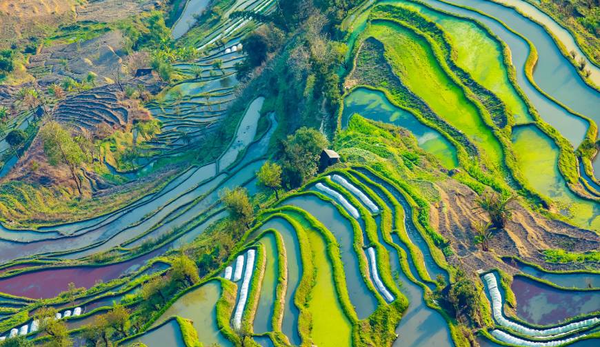 宝妈必备神器：天柱县产品视频拍摄轻松育儿好帮手